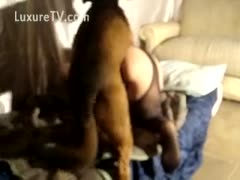 The BBC harlot is being filmed by her husband during beastiality sex.